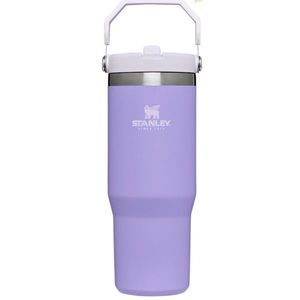 Purple 30 oz Stanley! BNWT
